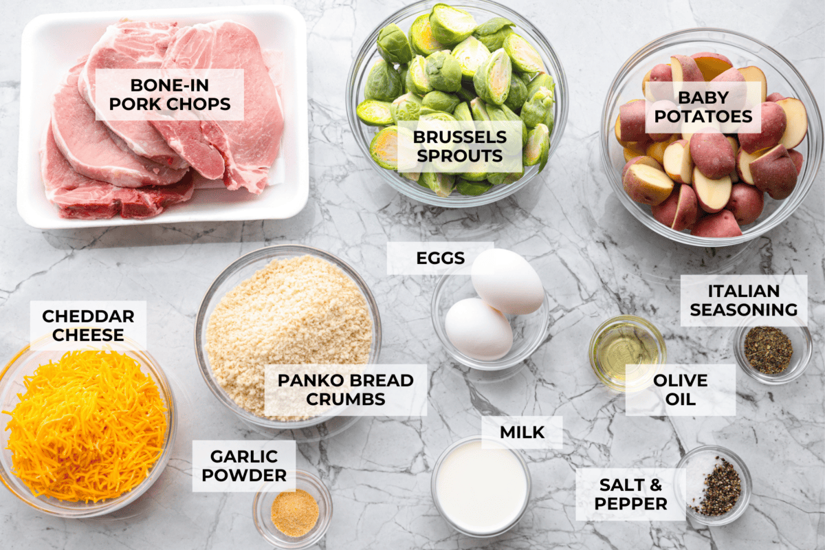 Overhead shot of labeled ingredients.
