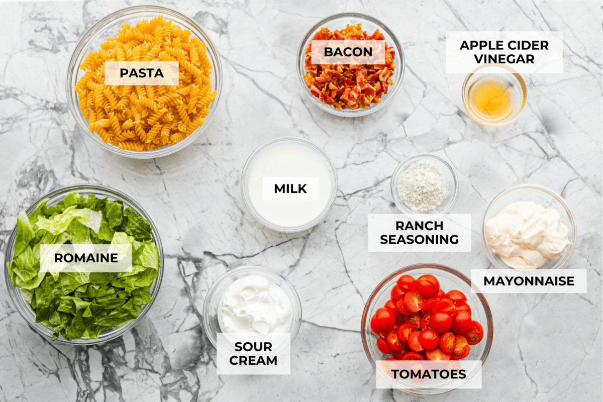 The best sandwich ever? Hands down, a BLT. Add in my obsession with pasta salads and, chefโs kiss! This BLT Pasta Salad has the crispy bacon, juicy tomatoes, and crunchy lettuce we all love! Overhead shot of labeled BLT pasta salad ingredients.