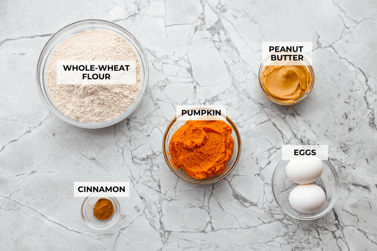 Get ready to spoil your furry friend! These homemade dog treats are made with simple ingredients and come together in no time. Your pup won’t stop begging for more! Overhead shot of labeled ingredients.