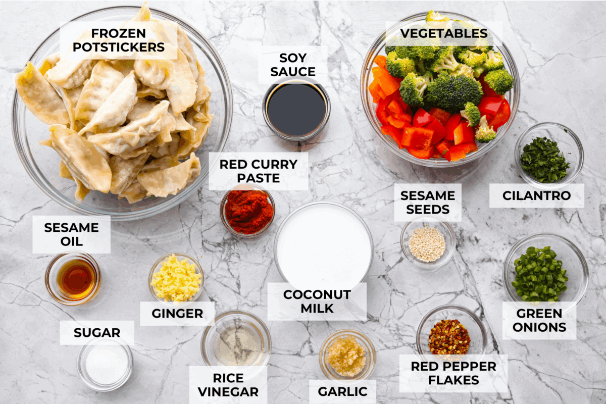Potsticker casserole is all the tasty fun of potstickers in a warm, baked dish. Soft dumplings, fresh veggies, and a rich sauce cook together for a fast, easy, and filling meal. Overhead shot of labeled ingredients.