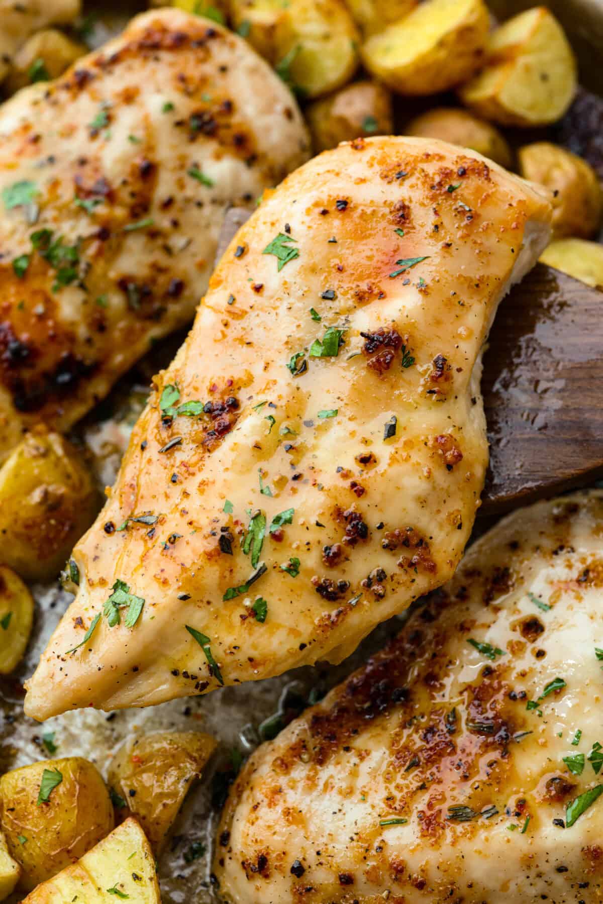 Baked buttery herb chicken with potatoes is pure comfort on a plate! I love tossing everything together in one pan and letting it cook! It saves time and lets all those delicious flavors meld for the juiciest, flavorful chicken and soft, savory potatoes. Close up shot of the butter herb chicken and potatoes.