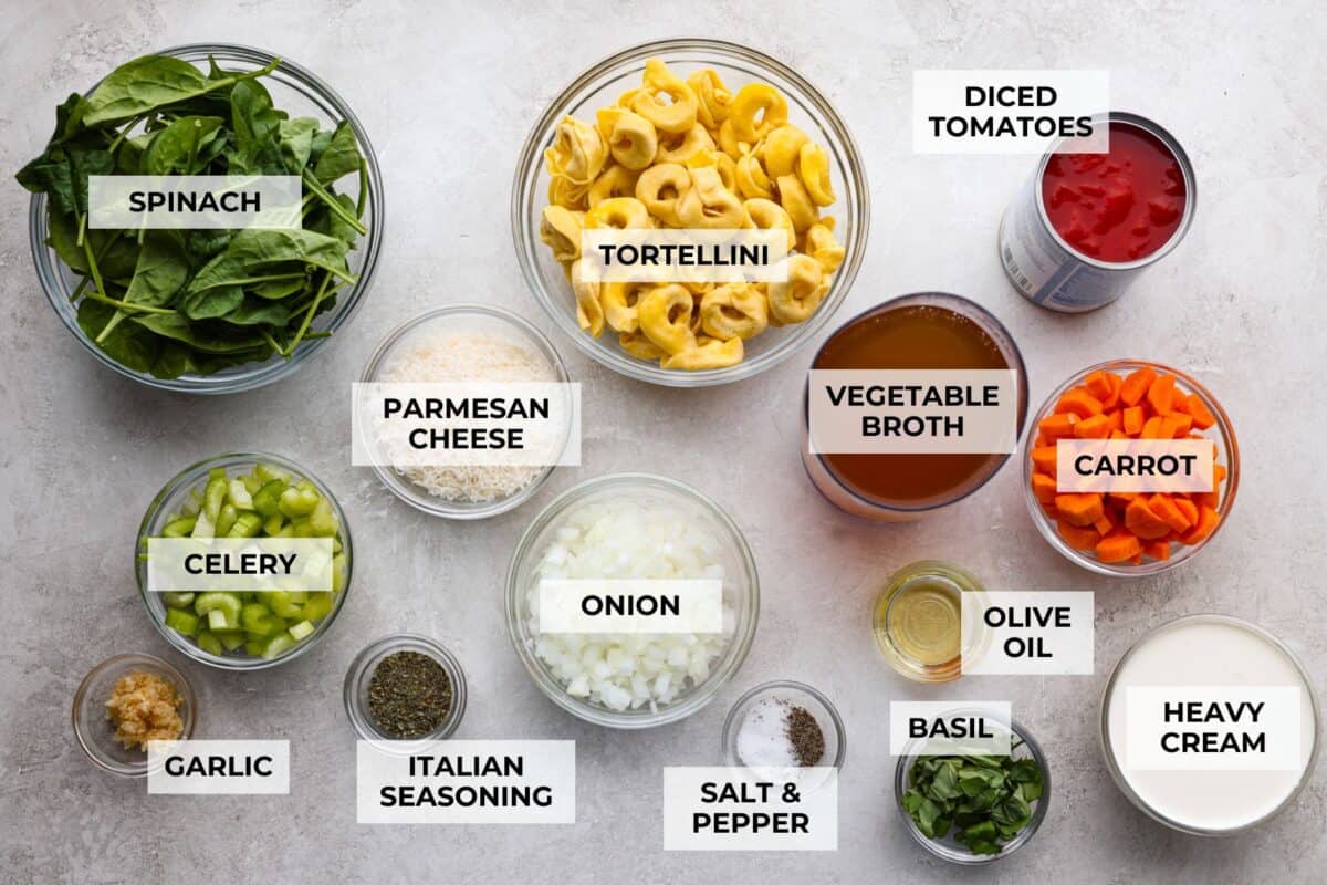 My love of cozy soups kicks in the second summer fades. This creamy tortellini soup gives me all the fall vibes. Fresh veggies, cheesy pasta, and a creamy broth, it's comfort in a bowl. Youโve got to try it today! Overhead shot of labeled creamy vegetable tortellini soup ingredients.