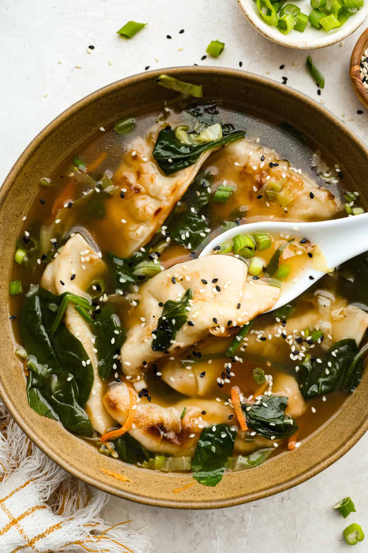 Bowl of potsticker soup.