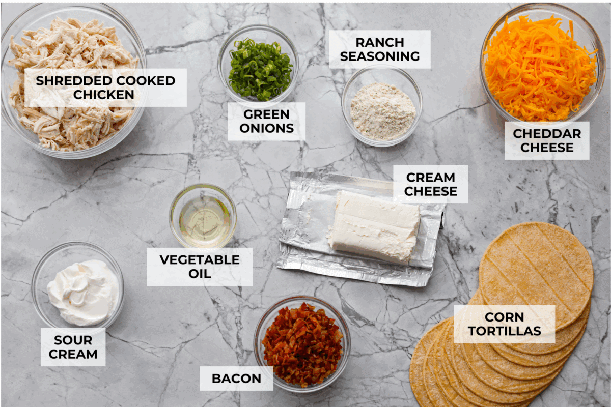 Get ready to be instantly obsessed with these crack chicken tacos! They are loaded with creamy ranch chicken, crispy bacon, and melty cheddar for a can’t-stop-eating dinner that disappears fast. Overhead shot of labeled crack chicken tacos ingredients.
