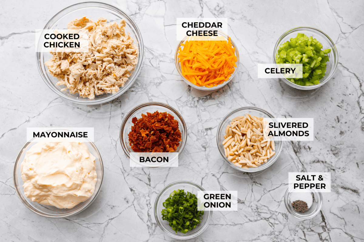 Million dollar chicken salad totally lives up to the name. Itโs creamy, cheesy, crunchy, and packed with bacon, so every bite is full of flavor. Serve it on croissants, with crackers, or straight from the bowl! It's that good. Overhead shot of labeled ingredients.
