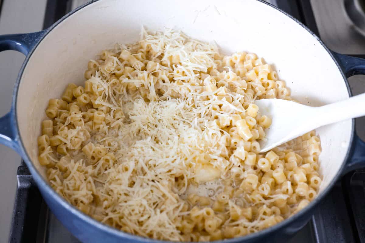 This creamy garlic ditalini pasta is rich, comforting, and on the table in under 30 minutes. One skillet, simple ingredients, and a garlicky, creamy sauce that coats every single bite. Cheese and butter added to the pan to be stirred in with the cooked pasta.