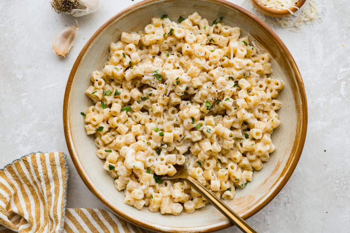 This creamy garlic ditalini pasta is rich, comforting, and on the table in under 30 minutes. One skillet, simple ingredients, and a garlicky, creamy sauce that coats every single bite. Bowl of Ditalini pasta with a gold fork.