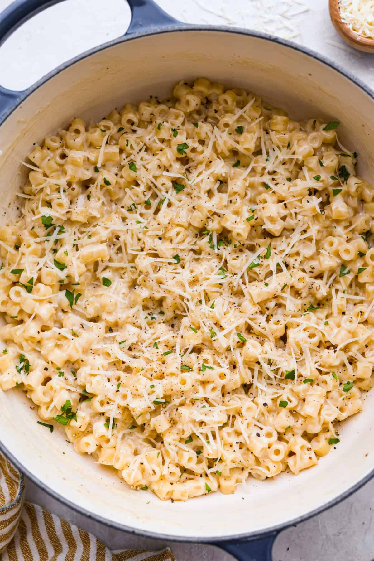 This creamy garlic ditalini pasta is rich, comforting, and on the table in under 30 minutes. One skillet, simple ingredients, and a garlicky, creamy sauce that coats every single bite. Overhead shot of the pan of Ditalini pasta with cheese and parsley added to the top.