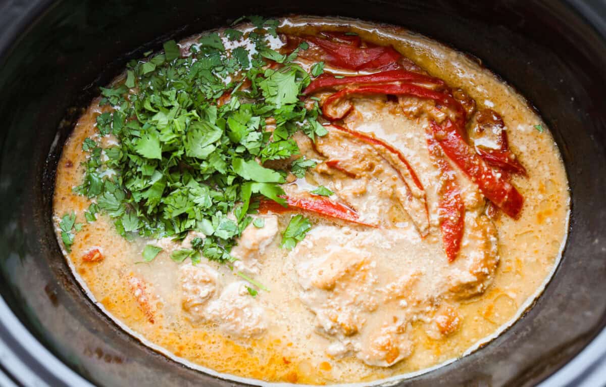 You asked, I listened! This slow cooker Thai peanut chicken got a serious glow-up! The sauce is creamy, savory, a little sweet, and packed with peanut coconut flavor. Iโd drink it with a straw if that were socially acceptable, but spooning it over rice, noodles or adding it to lettuce wraps is probably the better dinner move. The cilantro and lime juice added to the other ingredients the last hour of cooking.