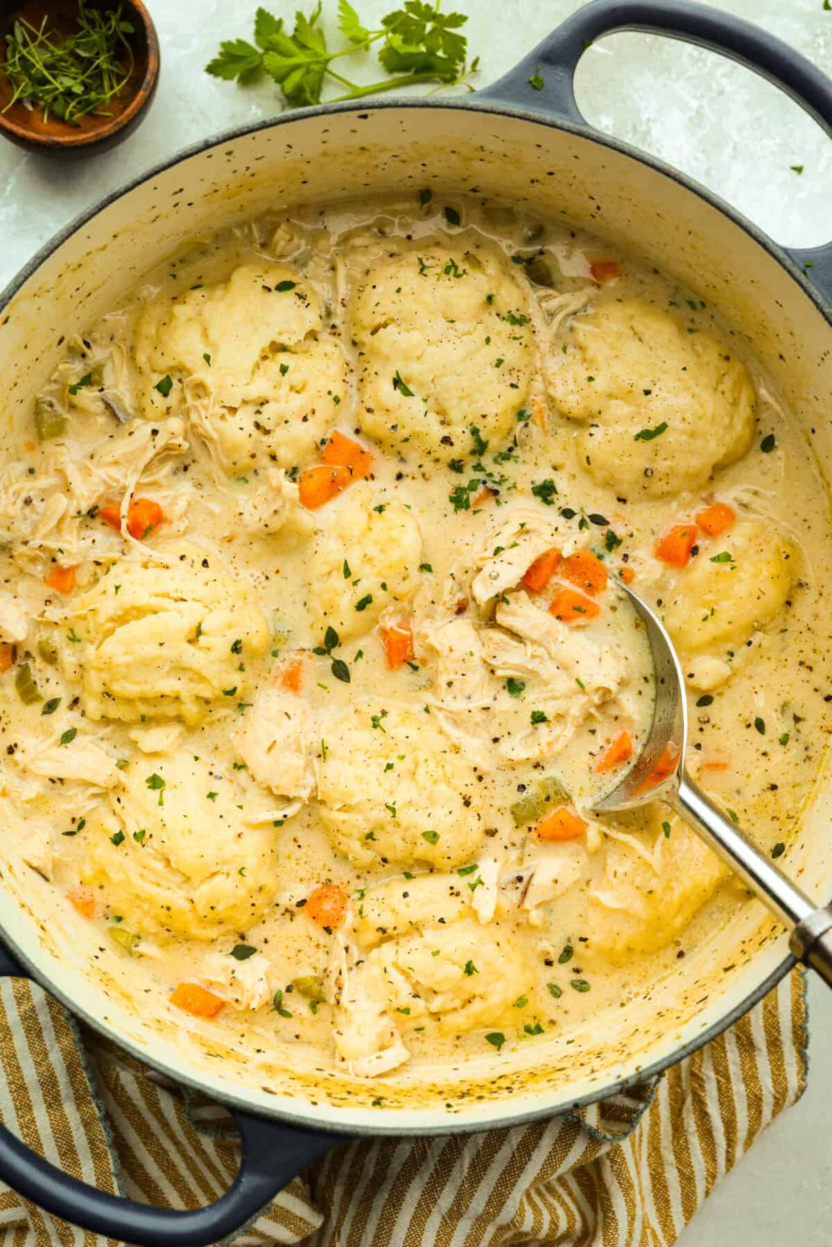 Chicken and dumpling soup will have everyone racing to the table! This one-pot dinner is loaded with tender chicken, hearty vegetables, and a creamy broth. Soft homemade dumplings steam right on top for the perfect finishing touch. Pot of chicken and dumpling soup with a large serving spoon in it.