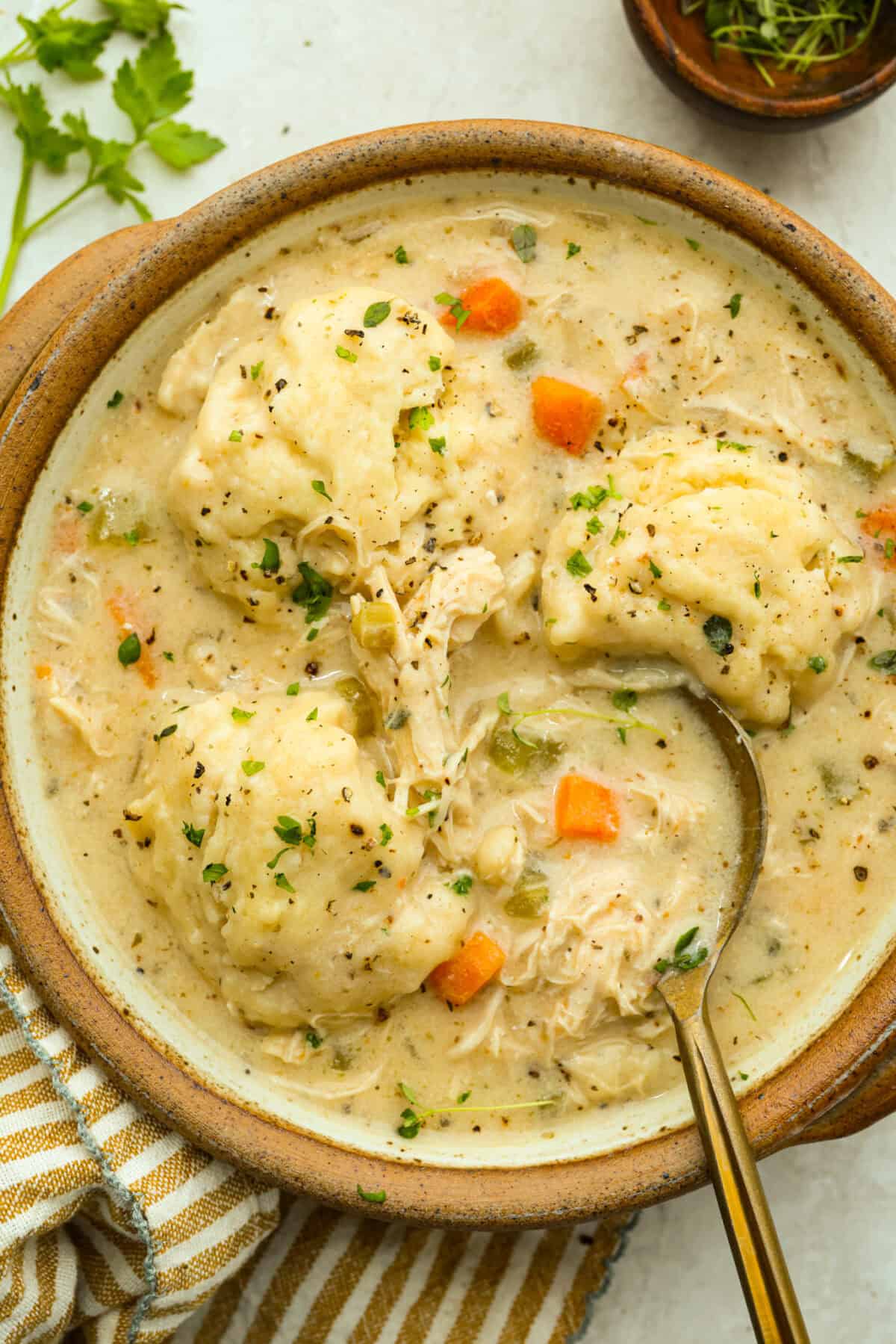 Chicken and dumpling soup will have everyone racing to the table! This one-pot dinner is loaded with tender chicken, hearty vegetables, and a creamy broth. Soft homemade dumplings steam right on top for the perfect finishing touch. Serving bowl of chicken and dumpling soup.